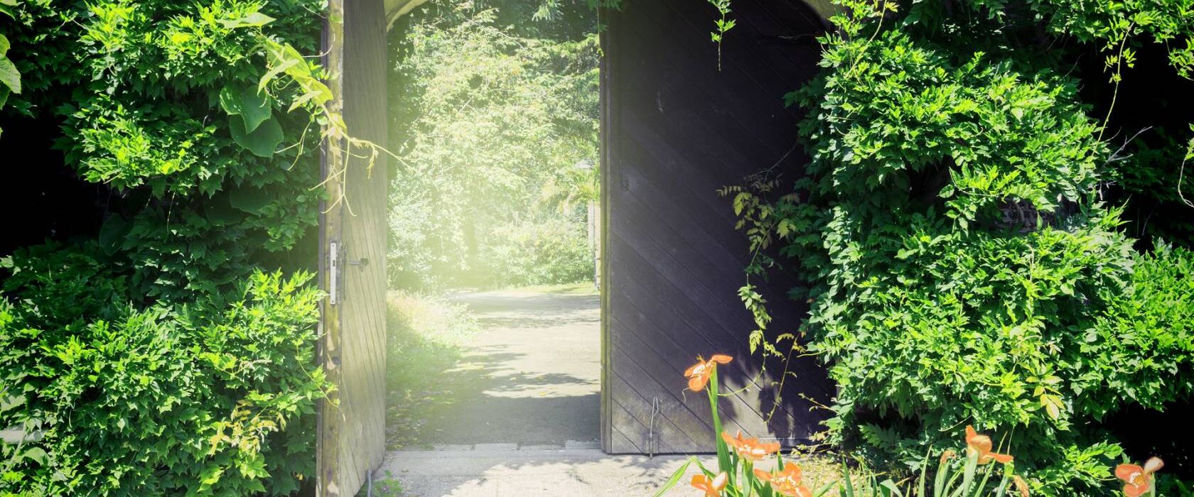Stimmtherapie, Stimmbildung, Stimmtraining, Stimme, Stimmarbeit, Stimmpädagogik, Meditation mit Stimme Würzburg, Meditation, Hilde Frauendorfer,